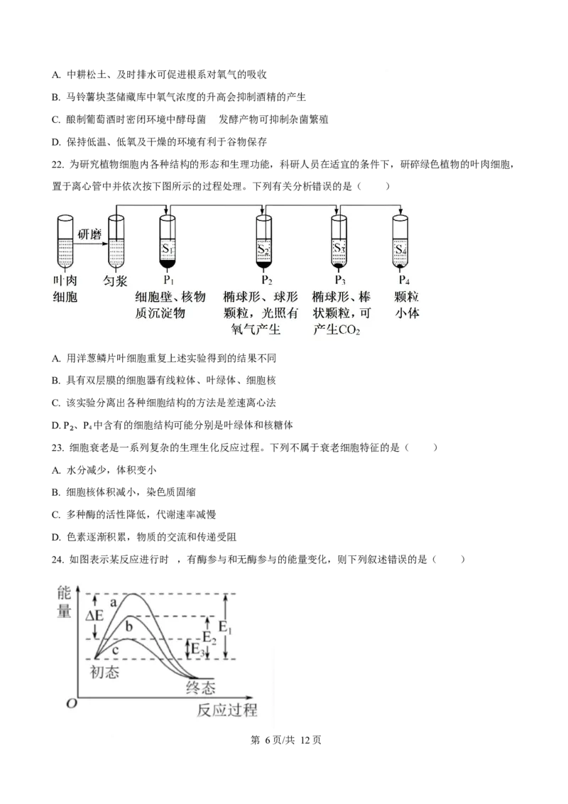 黑龙江省佳木斯市第一中学校2025-2026学年高一上学期1月期末生物试卷（含答案）_2024-2025高一（7-7月题库）_2026年1月高一