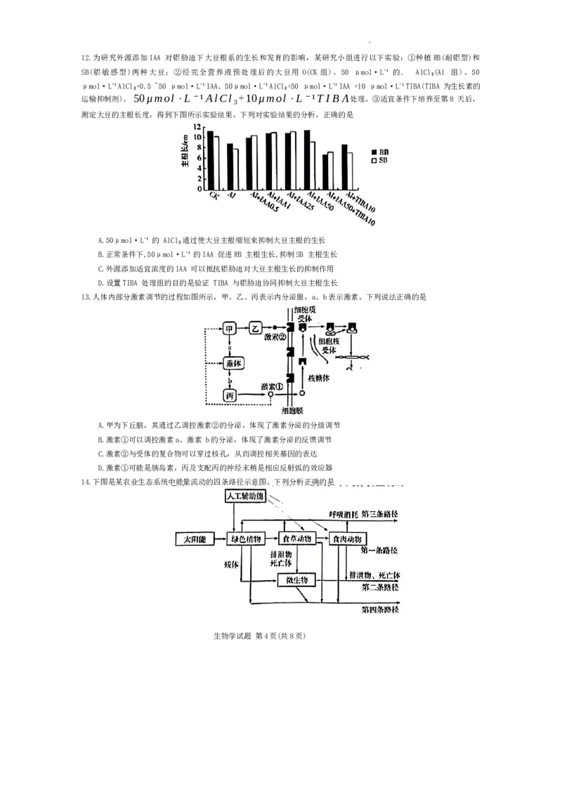 安徽省部分学校2023-2024学年高三下学期春季阶段性检测生物试题_2024年2月_01每日更新_23号_2024届安徽天一大联考高三下学期春季阶段性检测