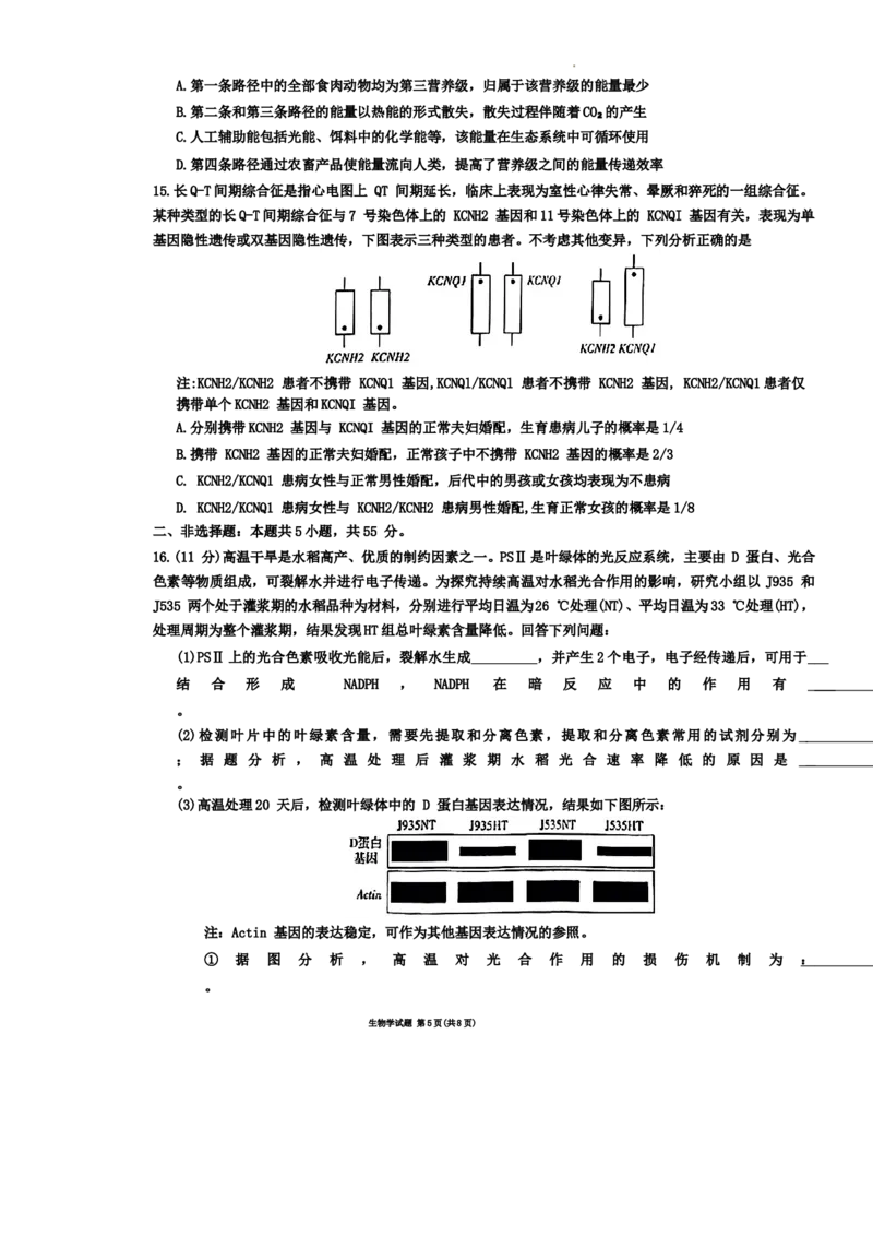 安徽省部分学校2023-2024学年高三下学期春季阶段性检测生物试题_2024年2月_01每日更新_23号_2024届安徽天一大联考高三下学期春季阶段性检测