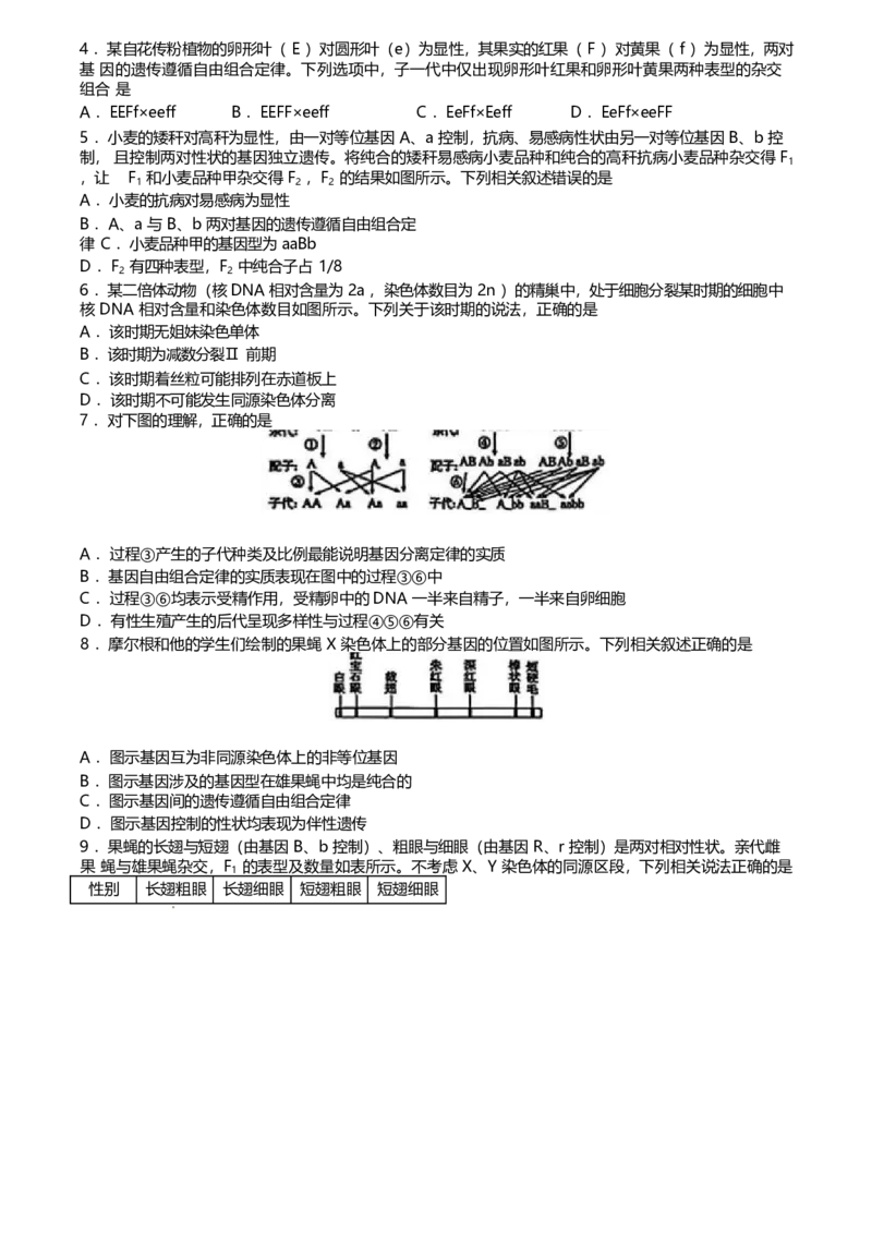 河北省保定市名校联盟2024-2025学年高一下学期4月期中考试生物Word版含答案_2024-2025高一（7-7月题库）_2025年05月试卷_0529河北省保定市名校联盟2024-2025学年高一下学期4月期中考试