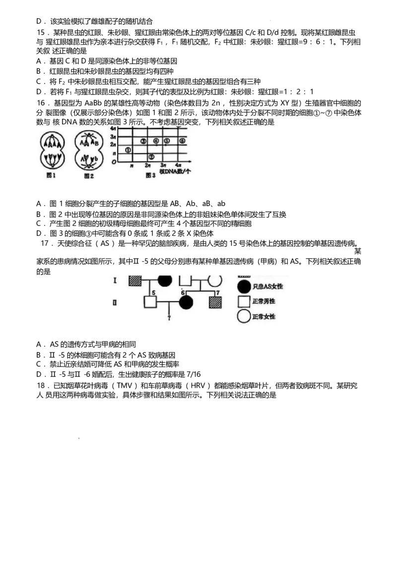 河北省保定市名校联盟2024-2025学年高一下学期4月期中考试生物Word版含答案_2024-2025高一（7-7月题库）_2025年05月试卷_0529河北省保定市名校联盟2024-2025学年高一下学期4月期中考试