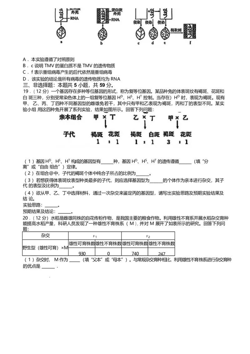 河北省保定市名校联盟2024-2025学年高一下学期4月期中考试生物Word版含答案_2024-2025高一（7-7月题库）_2025年05月试卷_0529河北省保定市名校联盟2024-2025学年高一下学期4月期中考试