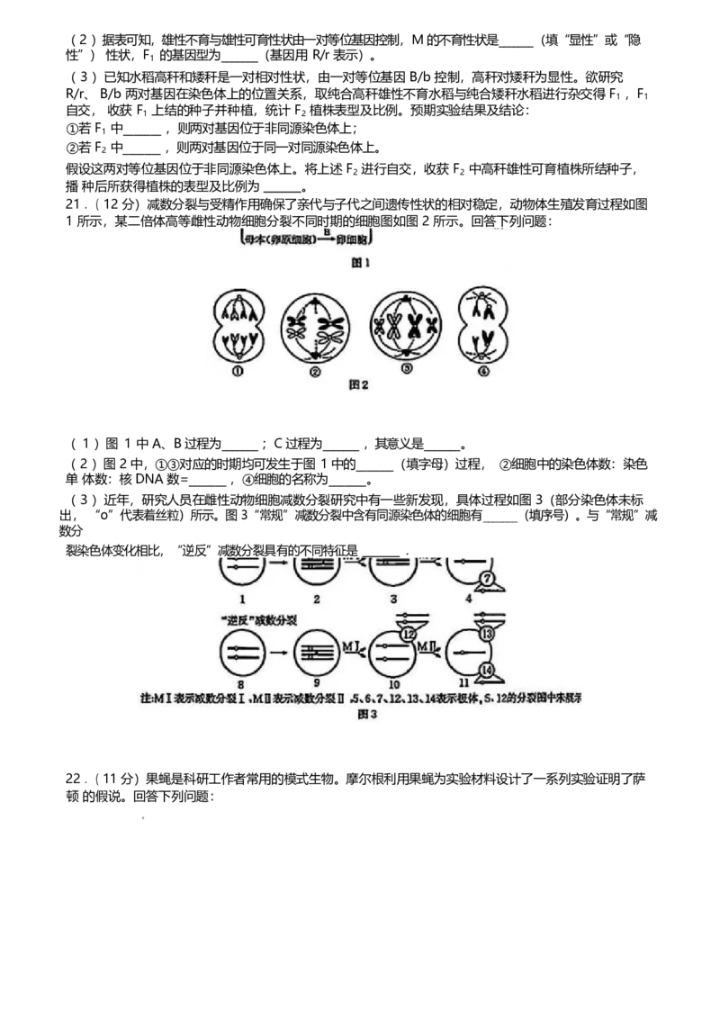 河北省保定市名校联盟2024-2025学年高一下学期4月期中考试生物Word版含答案_2024-2025高一（7-7月题库）_2025年05月试卷_0529河北省保定市名校联盟2024-2025学年高一下学期4月期中考试