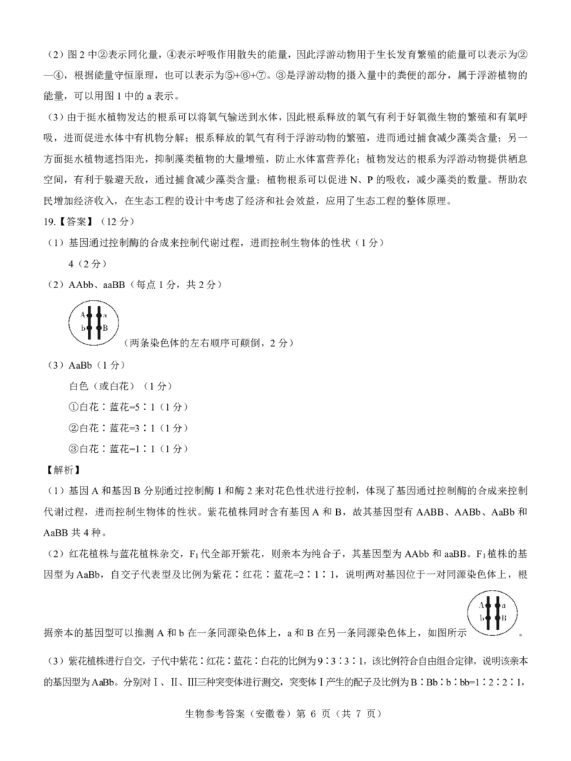 安徽卷名校教研联盟2024届高三3月联考生物参考答案_2024年3月_013月合集_2024届名校教研联盟高三3月考试（安徽版）_2024届名校教研联盟高三3月考试（安徽版）生物