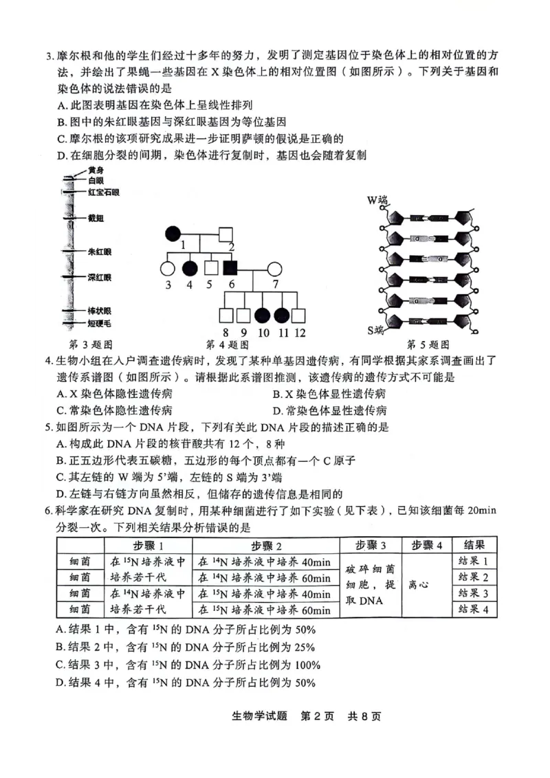 高一生物_2024-2025高一（7-7月题库）_2024年7月试卷_0727辽宁省部分高中2023-2024学年高一下学期期末点石联考