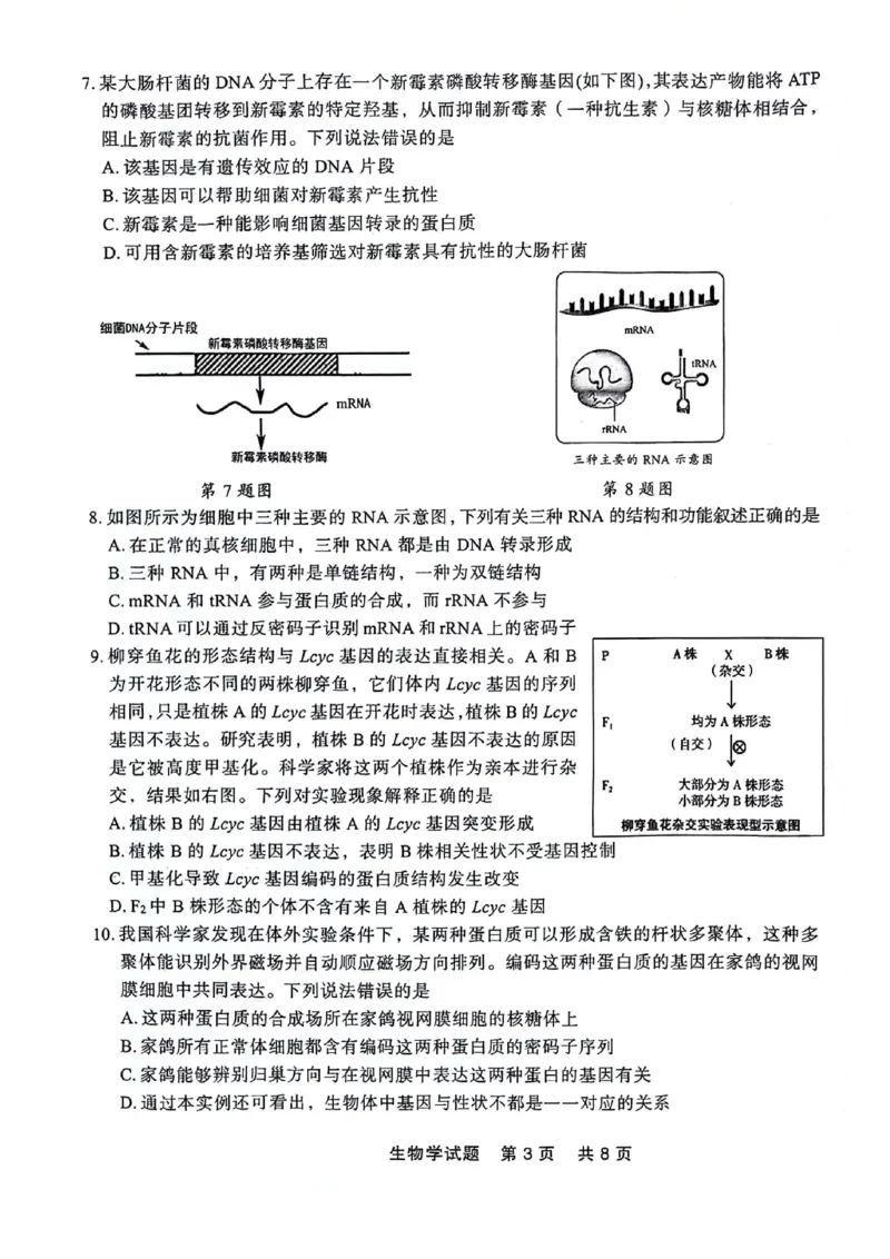 高一生物_2024-2025高一（7-7月题库）_2024年7月试卷_0727辽宁省部分高中2023-2024学年高一下学期期末点石联考