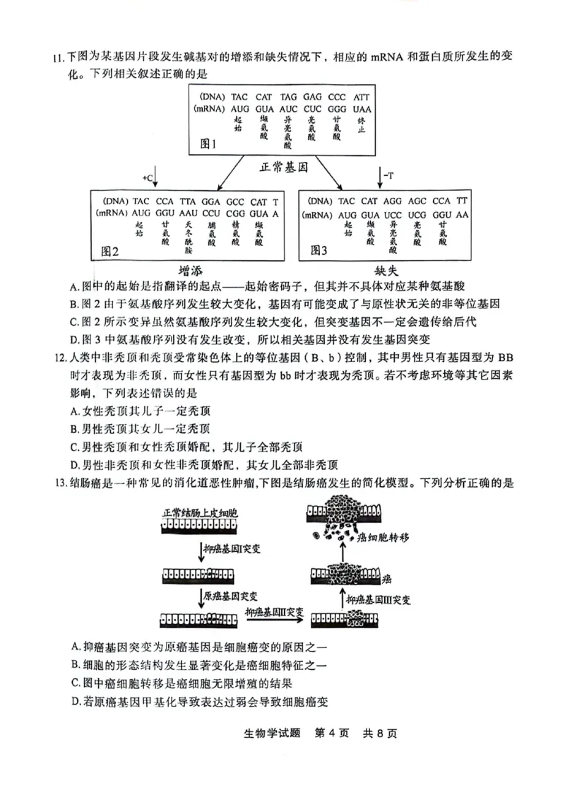 高一生物_2024-2025高一（7-7月题库）_2024年7月试卷_0727辽宁省部分高中2023-2024学年高一下学期期末点石联考