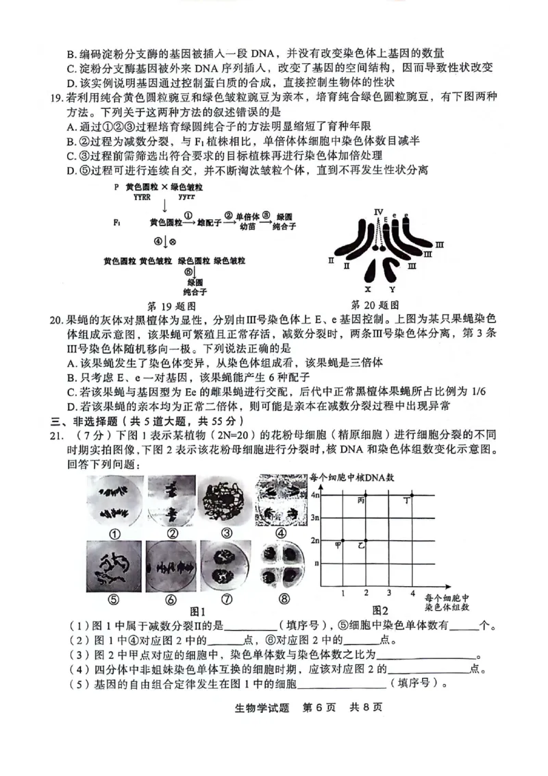 高一生物_2024-2025高一（7-7月题库）_2024年7月试卷_0727辽宁省部分高中2023-2024学年高一下学期期末点石联考