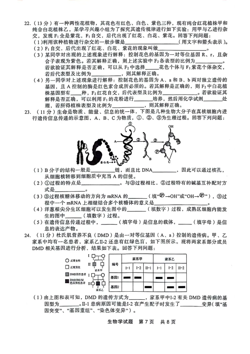 高一生物_2024-2025高一（7-7月题库）_2024年7月试卷_0727辽宁省部分高中2023-2024学年高一下学期期末点石联考