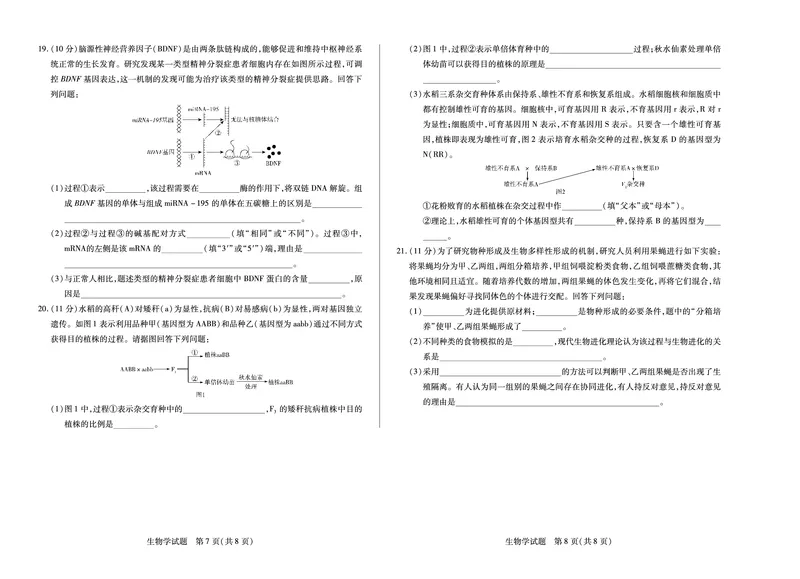 生物南阳六校高一下期末_2024-2025高一（7-7月题库）_2025年7月_250703天一大联考&middot;河南省2024-2025学年（下）南阳六校高一年级期末考试