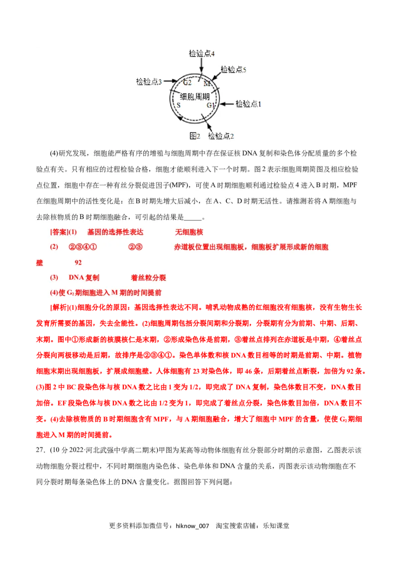 第6章细胞的生命历程（B卷&middot;能力提升练）（解析版）_E015高中全科试卷_生物试题_必修1_1.单元测试_1.单元测试AB卷（第一套）
