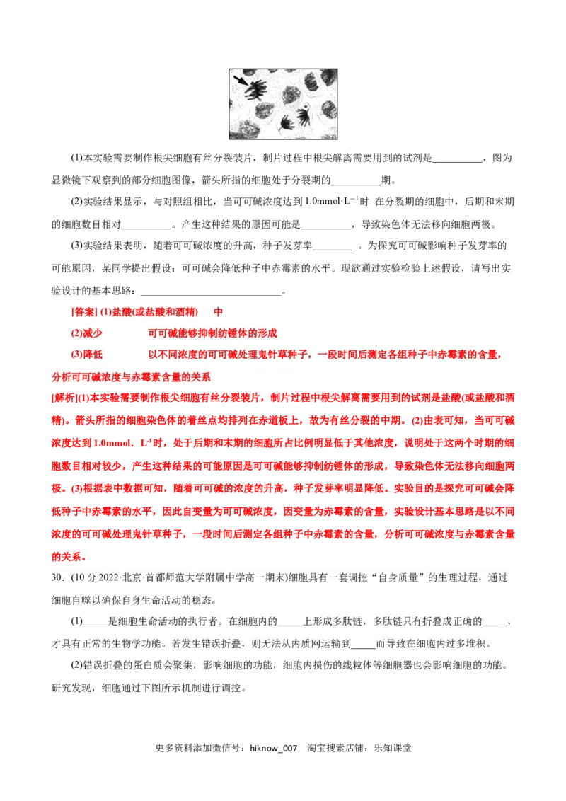 第6章细胞的生命历程（B卷&middot;能力提升练）（解析版）_E015高中全科试卷_生物试题_必修1_1.单元测试_1.单元测试AB卷（第一套）