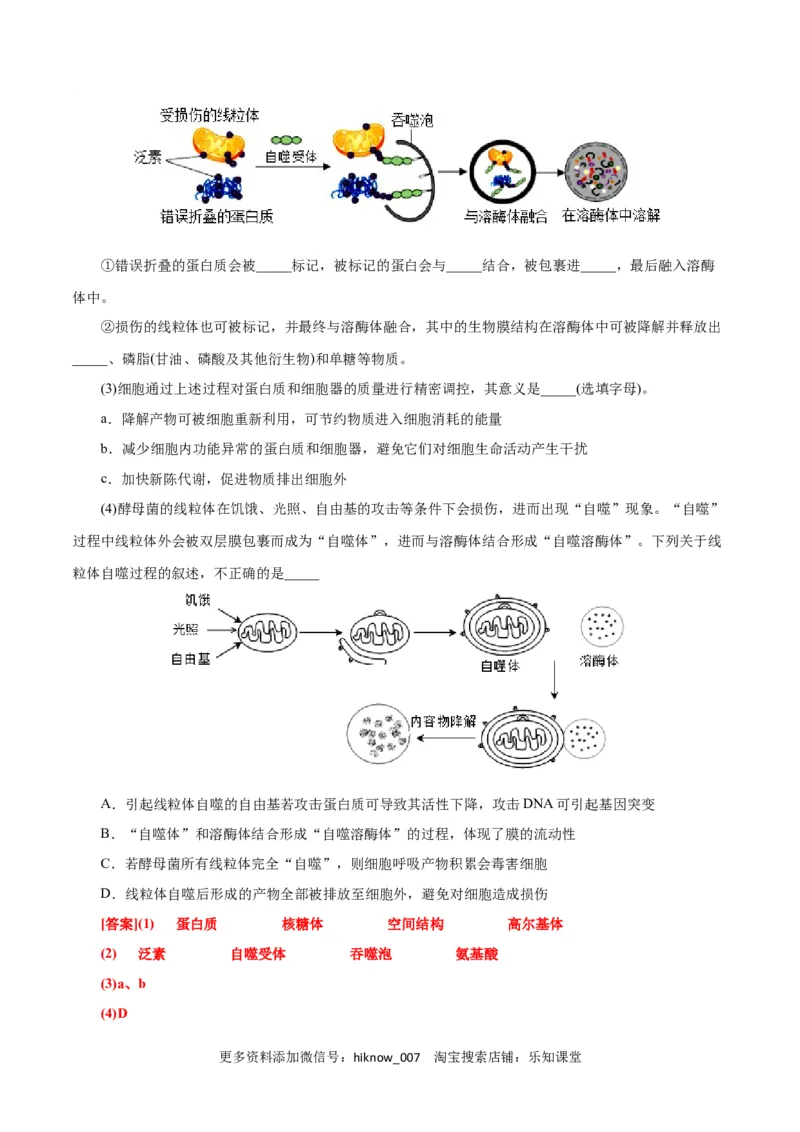 第6章细胞的生命历程（B卷&middot;能力提升练）（解析版）_E015高中全科试卷_生物试题_必修1_1.单元测试_1.单元测试AB卷（第一套）