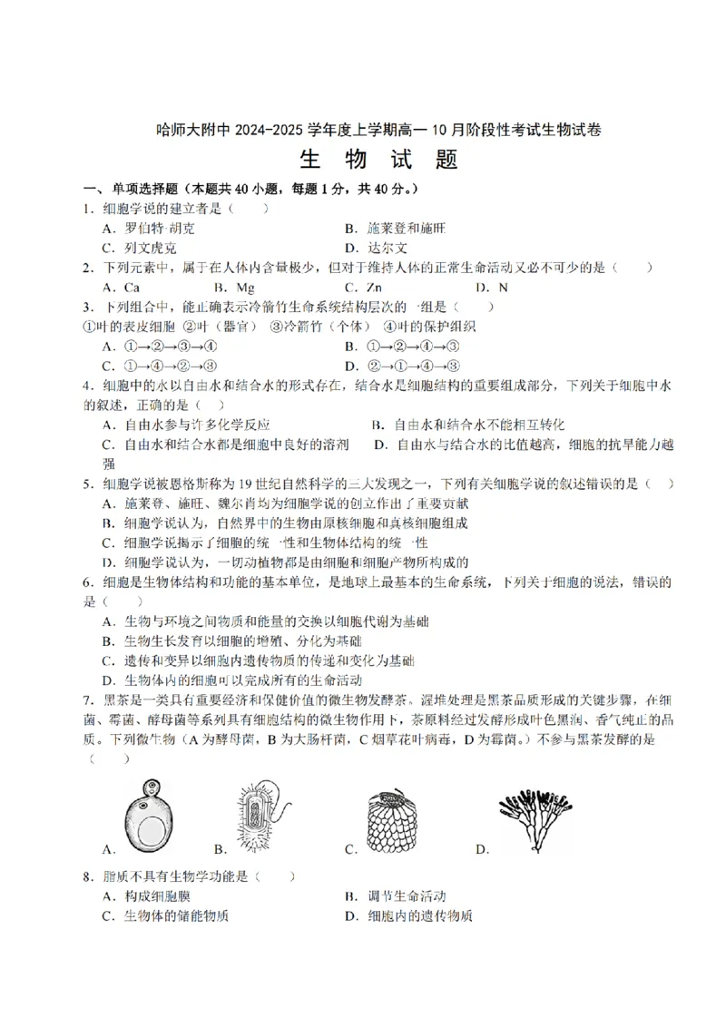 黑龙江省哈尔滨市师大附中2024-2025学年度高一上学期10月阶段性考试生物试卷_2024-2025高一（7-7月题库）_2024年10月试卷