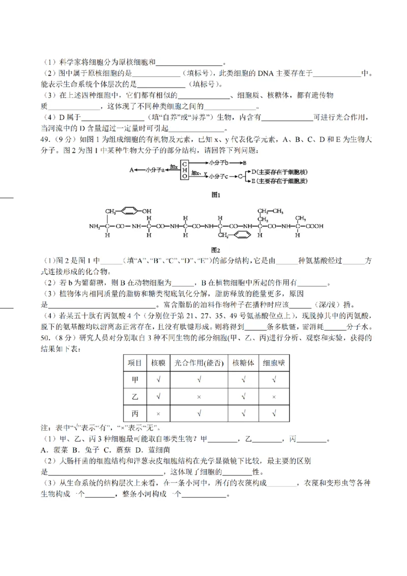 黑龙江省哈尔滨市师大附中2024-2025学年度高一上学期10月阶段性考试生物试卷_2024-2025高一（7-7月题库）_2024年10月试卷