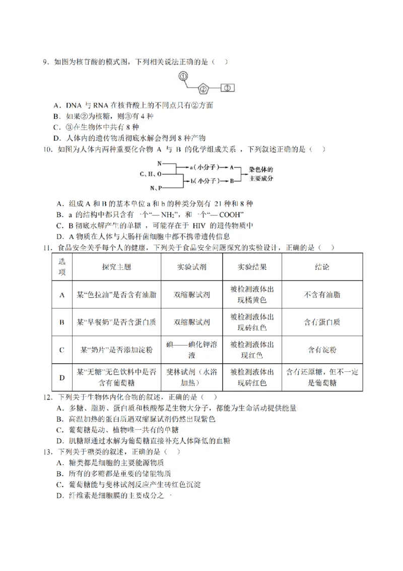 黑龙江省哈尔滨市师大附中2024-2025学年度高一上学期10月阶段性考试生物试卷_2024-2025高一（7-7月题库）_2024年10月试卷