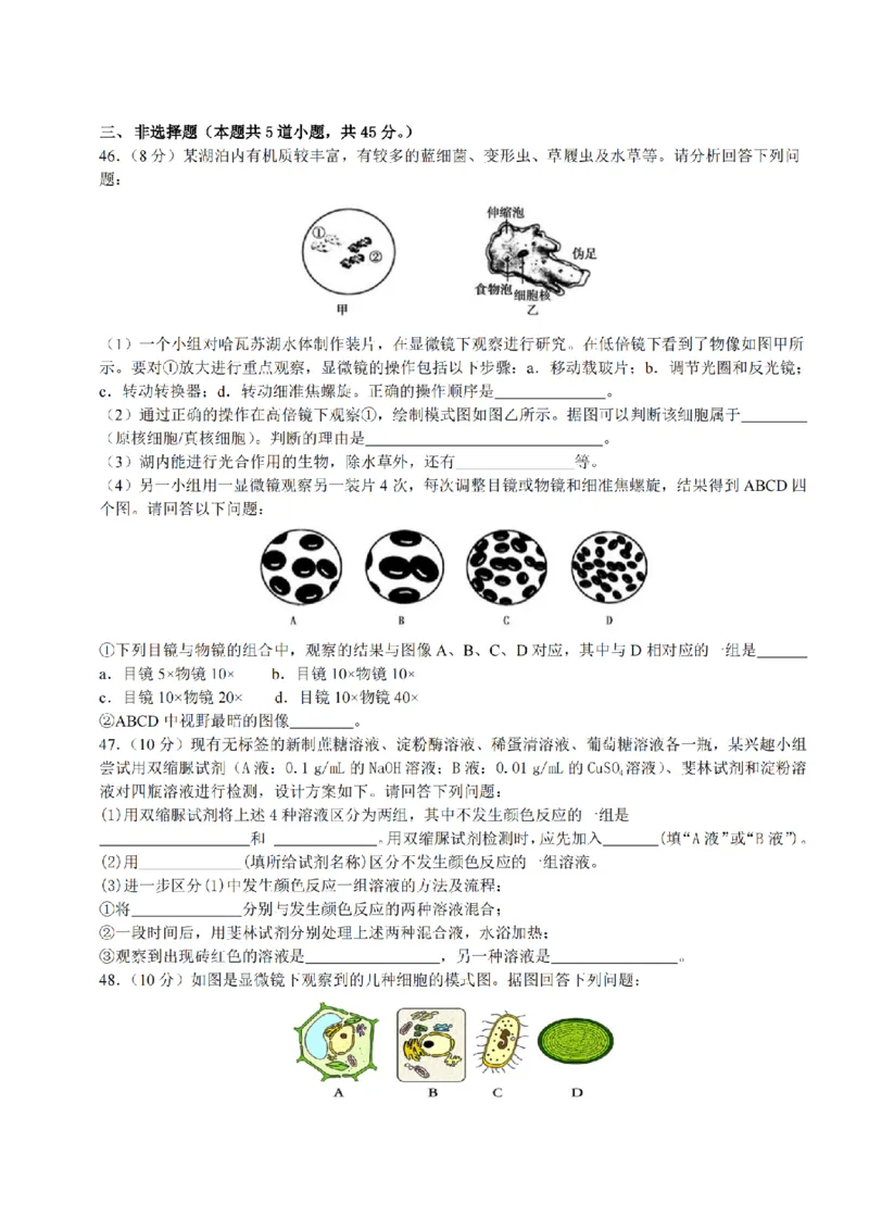 黑龙江省哈尔滨市师大附中2024-2025学年度高一上学期10月阶段性考试生物试卷_2024-2025高一（7-7月题库）_2024年10月试卷