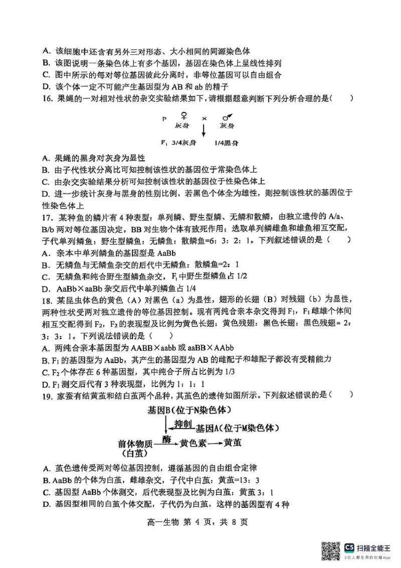 黑龙江省哈尔滨市第三中学校2024-2025学年高一下学期4月月考生物试题（PDF版，无答案）_2024-2025高一（7-7月题库）_2025年04月试卷