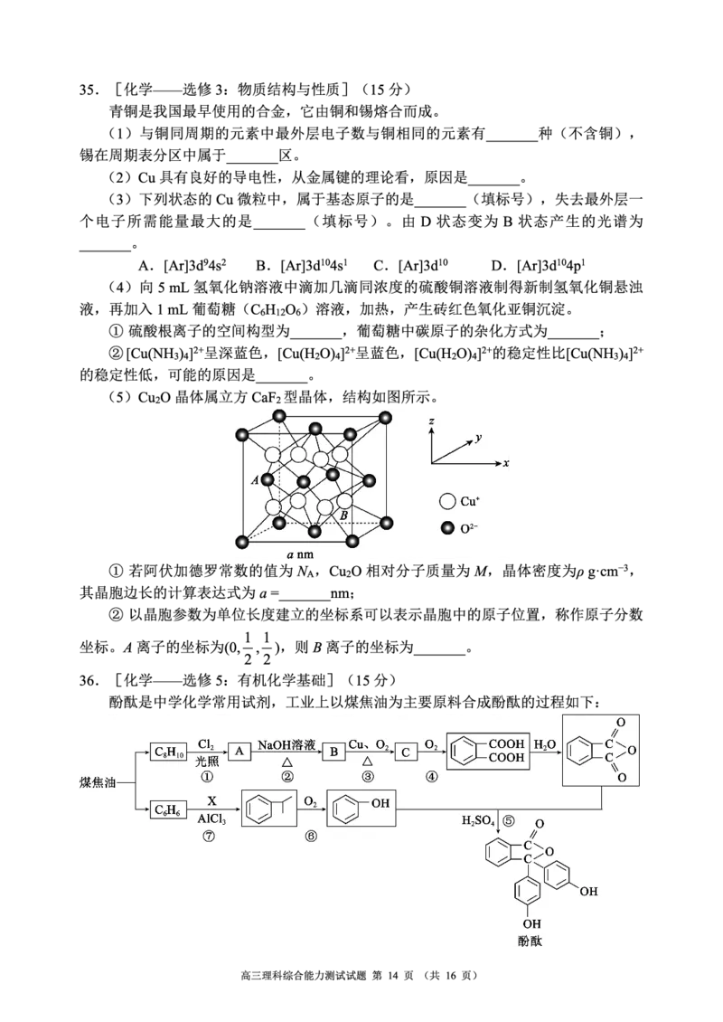 四川省成都市蓉城联盟2023～2024学年度高三上学期第二次联考理科综合试题_2024年3月_013月合集_2024届四川省成都市蓉城联盟高三下学期第二次联考