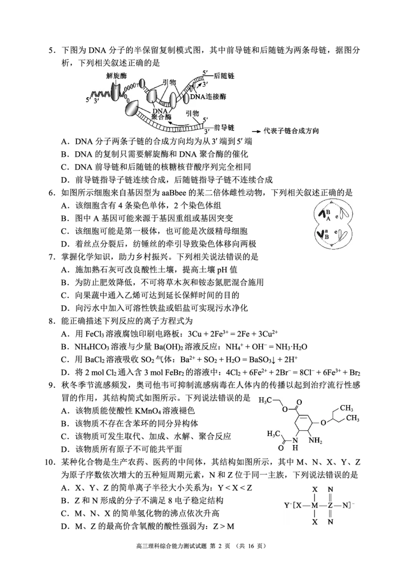 四川省成都市蓉城联盟2023～2024学年度高三上学期第二次联考理科综合试题_2024年3月_013月合集_2024届四川省成都市蓉城联盟高三下学期第二次联考
