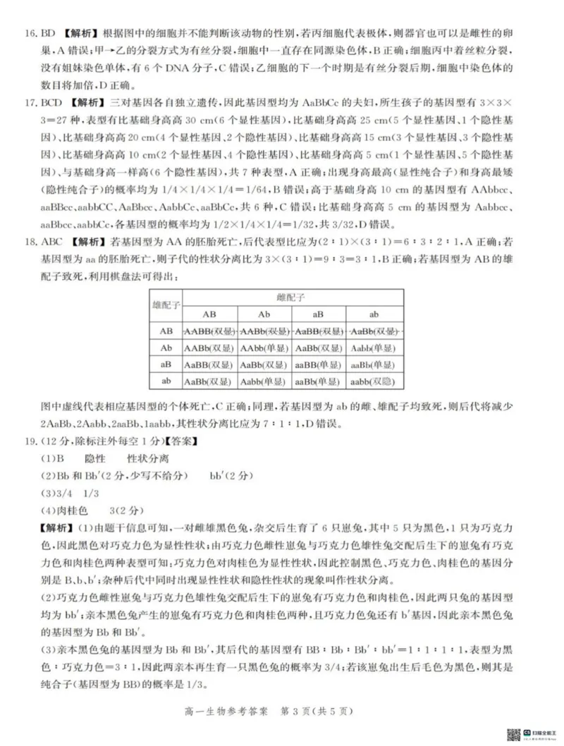 河北省省级示范高中联合测评2024-2025学年高一下学期3月月考生物试题（扫描版有解析）_2024-2025高一（7-7月题库）_2025年03月试卷