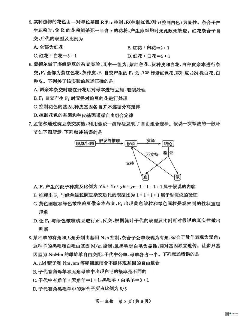 河北省省级示范高中联合测评2024-2025学年高一下学期3月月考生物试题（扫描版有解析）_2024-2025高一（7-7月题库）_2025年03月试卷