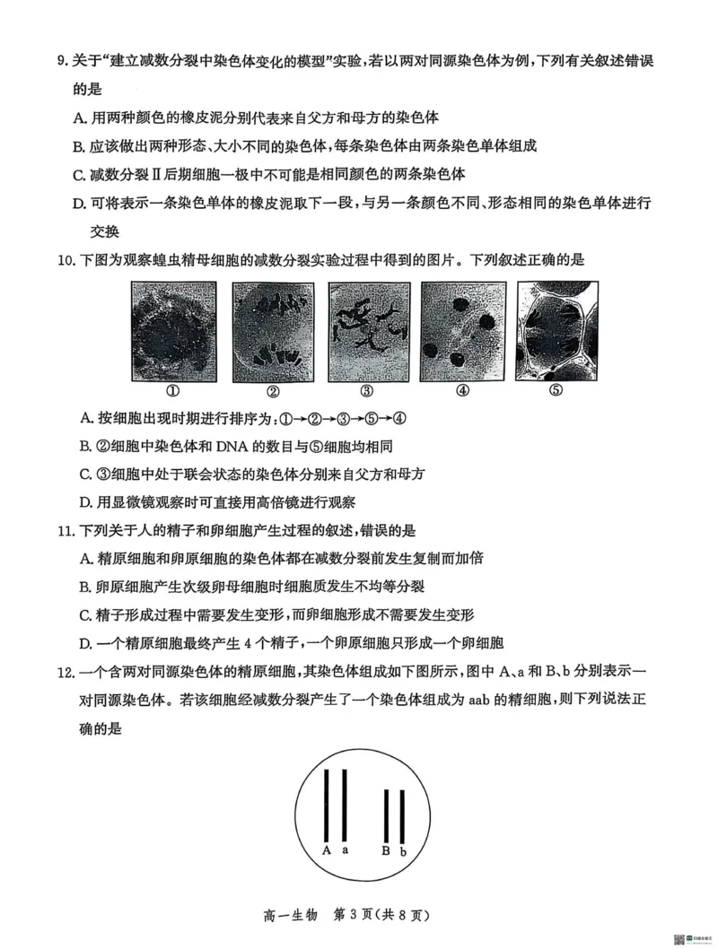 河北省省级示范高中联合测评2024-2025学年高一下学期3月月考生物试题（扫描版有解析）_2024-2025高一（7-7月题库）_2025年03月试卷