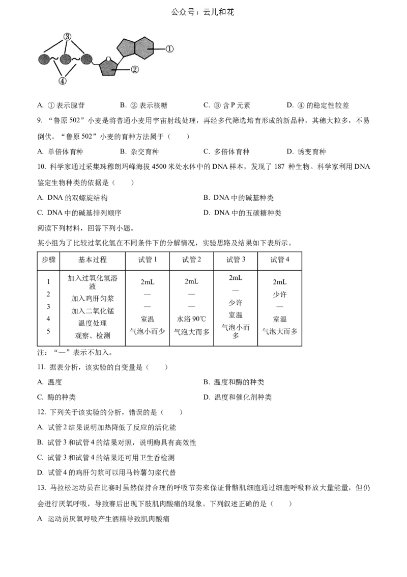 生物-2024届浙江省杭州市教研联盟高一下学期6月学考模拟考试_2024-2025高一（7-7月题库）_2024年7月试卷_07012024届浙江省杭州市教研联盟高一下学期6月学考模拟考试