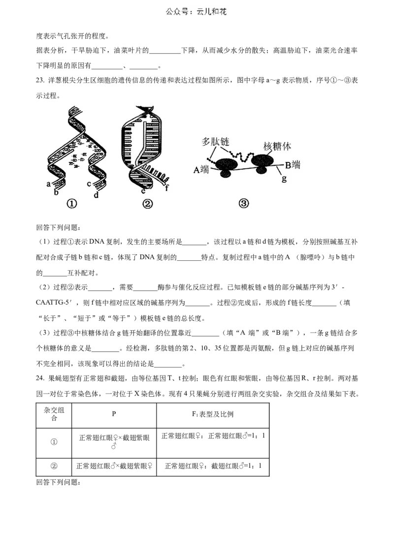 生物-2024届浙江省杭州市教研联盟高一下学期6月学考模拟考试_2024-2025高一（7-7月题库）_2024年7月试卷_07012024届浙江省杭州市教研联盟高一下学期6月学考模拟考试