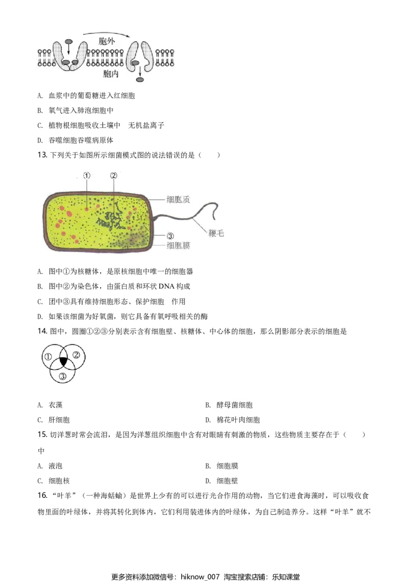 精品解析：江苏省南京市南京师大附中高一上学期期末生物试题（原卷版）_E015高中全科试卷_生物试题_必修1_4.期末试卷_2.各地真题
