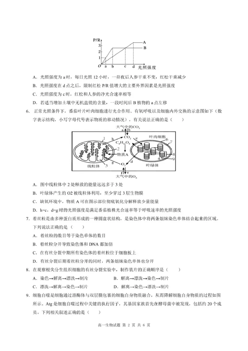 重庆市涪陵区第一中学2024-2025学年高一下学期第一次月考生物试题（扫描版有答案）_2024-2025高一（7-7月题库）_2025年04月试卷