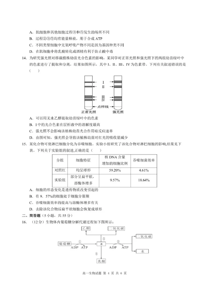 重庆市涪陵区第一中学2024-2025学年高一下学期第一次月考生物试题（扫描版有答案）_2024-2025高一（7-7月题库）_2025年04月试卷