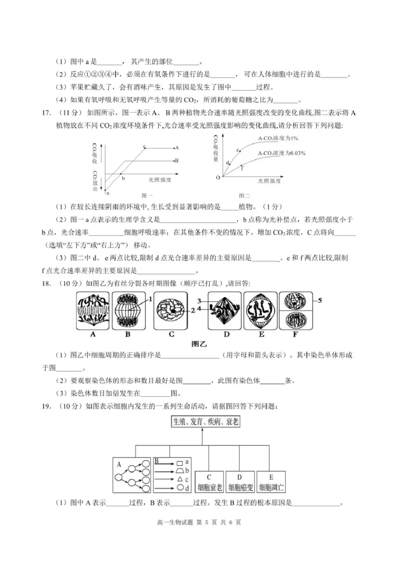 重庆市涪陵区第一中学2024-2025学年高一下学期第一次月考生物试题（扫描版有答案）_2024-2025高一（7-7月题库）_2025年04月试卷
