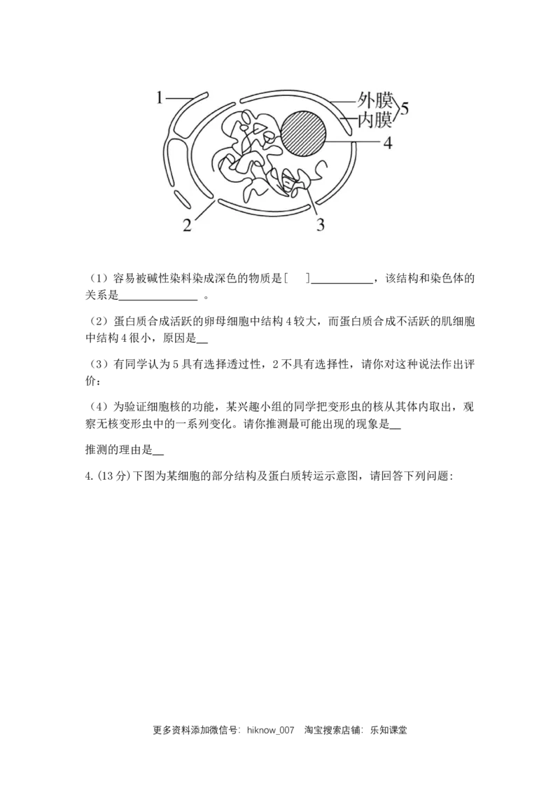 第三章细胞的基本结构复习练习新教材人教版（2019）高中生物必修一_E015高中全科试卷_生物试题_必修1_2.同步练习_4.同步练习（第四套）