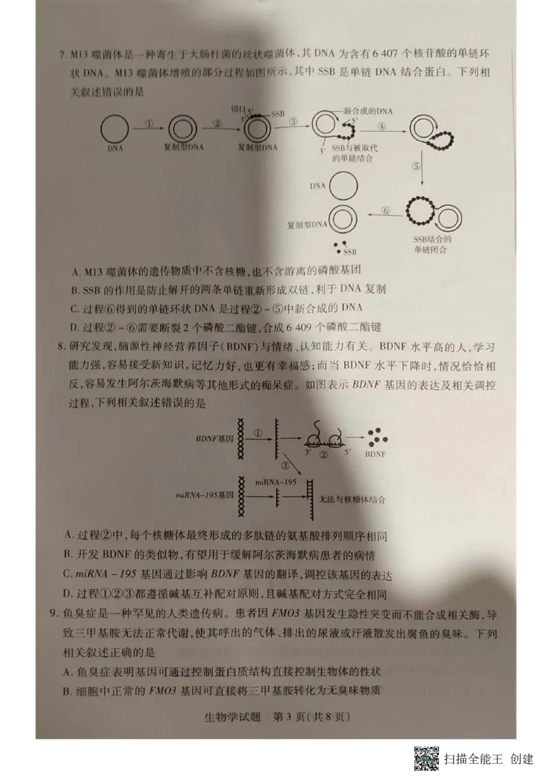 安徽省亳州市2023-2024学年高三上学期1月期末生物试题_2024年2月_01每日更新_08号_2024届安徽省亳州市普通高中高三上学期1月期末质量检测