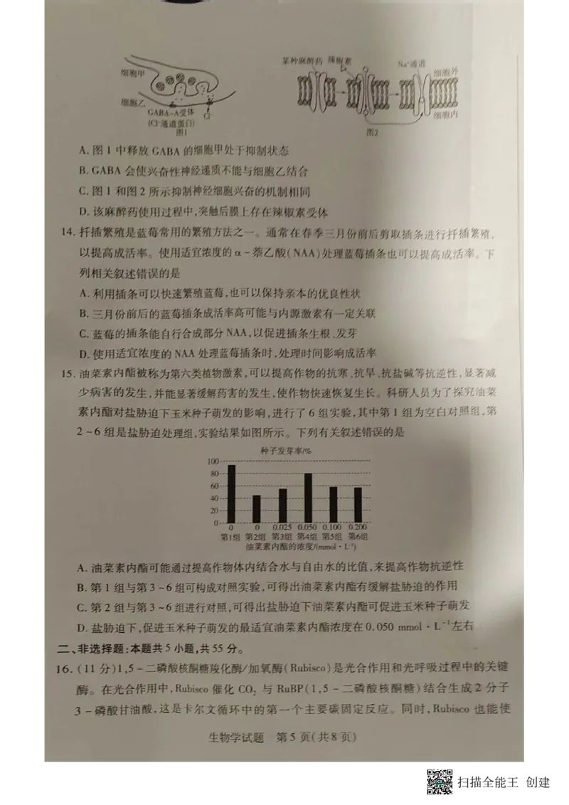 安徽省亳州市2023-2024学年高三上学期1月期末生物试题_2024年2月_01每日更新_08号_2024届安徽省亳州市普通高中高三上学期1月期末质量检测