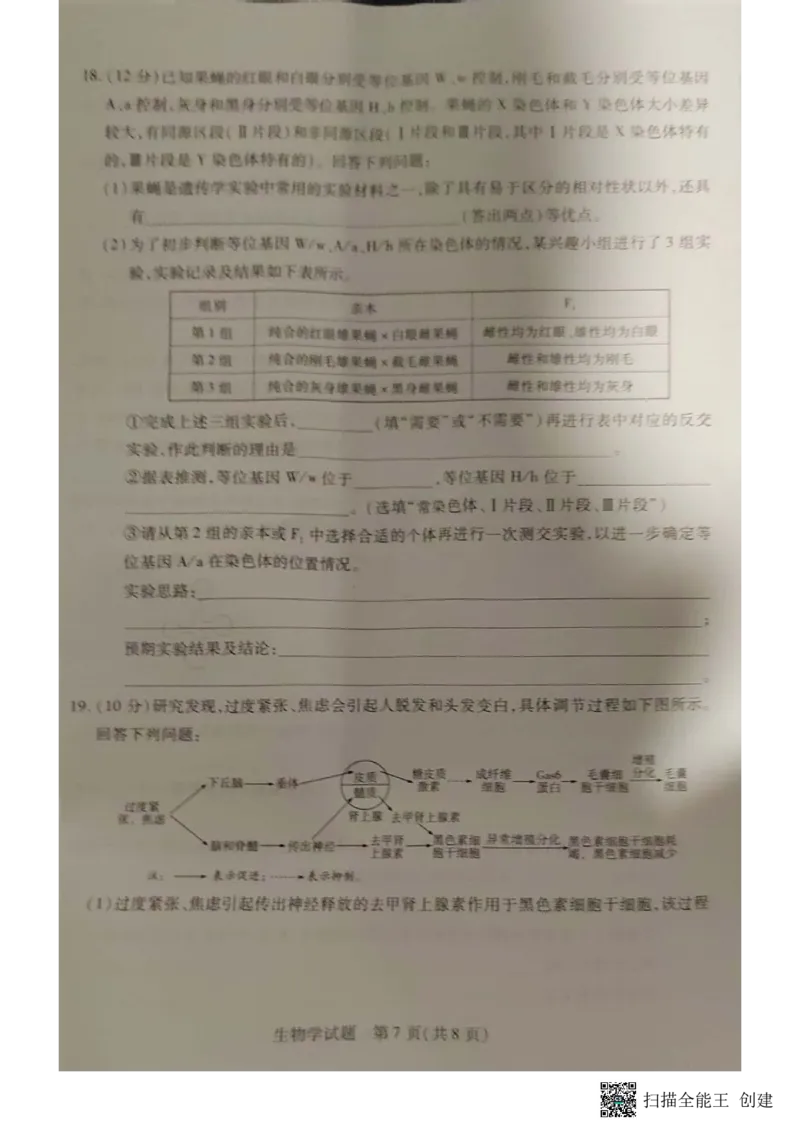 安徽省亳州市2023-2024学年高三上学期1月期末生物试题_2024年2月_01每日更新_08号_2024届安徽省亳州市普通高中高三上学期1月期末质量检测