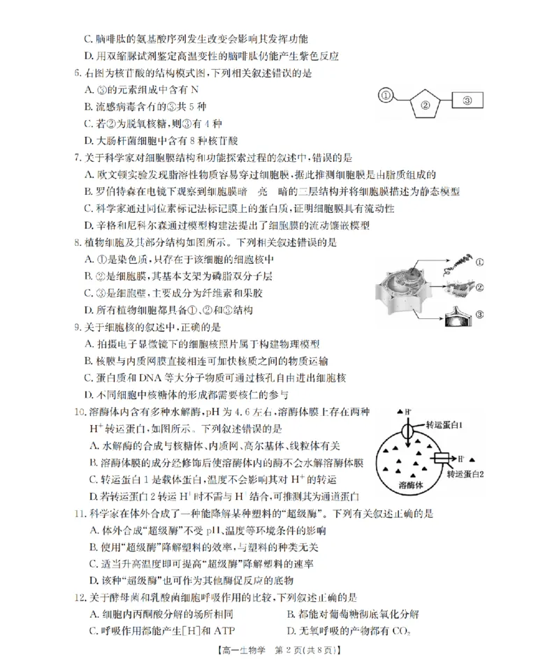 生物学_扫描版_2024-2025高一（7-7月题库）_2026年1月高一_260127金太阳&middot;江苏省2025-2026学年高一上学期12月联考（26-197A）（全）