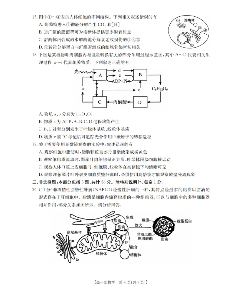 生物学_扫描版_2024-2025高一（7-7月题库）_2026年1月高一_260127金太阳&middot;江苏省2025-2026学年高一上学期12月联考（26-197A）（全）