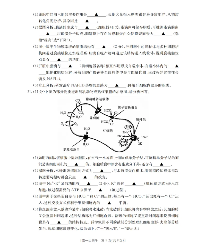 生物学_扫描版_2024-2025高一（7-7月题库）_2026年1月高一_260127金太阳&middot;江苏省2025-2026学年高一上学期12月联考（26-197A）（全）