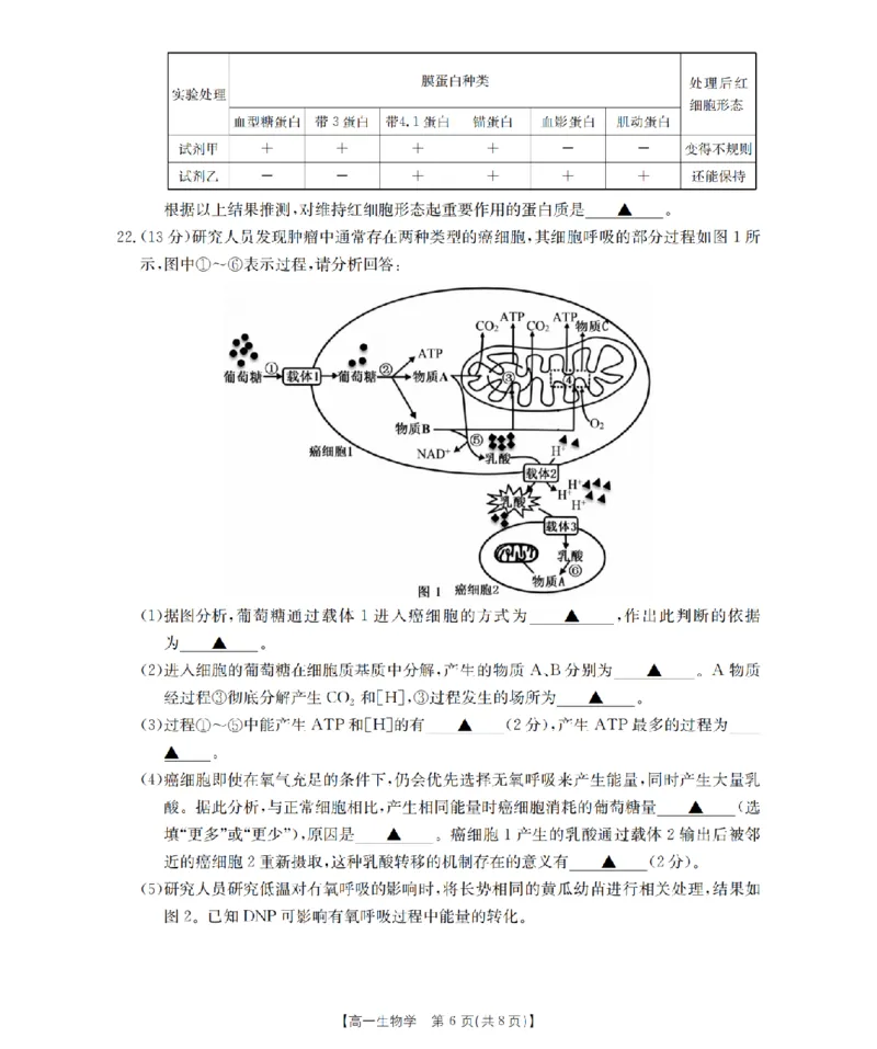 生物学_扫描版_2024-2025高一（7-7月题库）_2026年1月高一_260127金太阳&middot;江苏省2025-2026学年高一上学期12月联考（26-197A）（全）