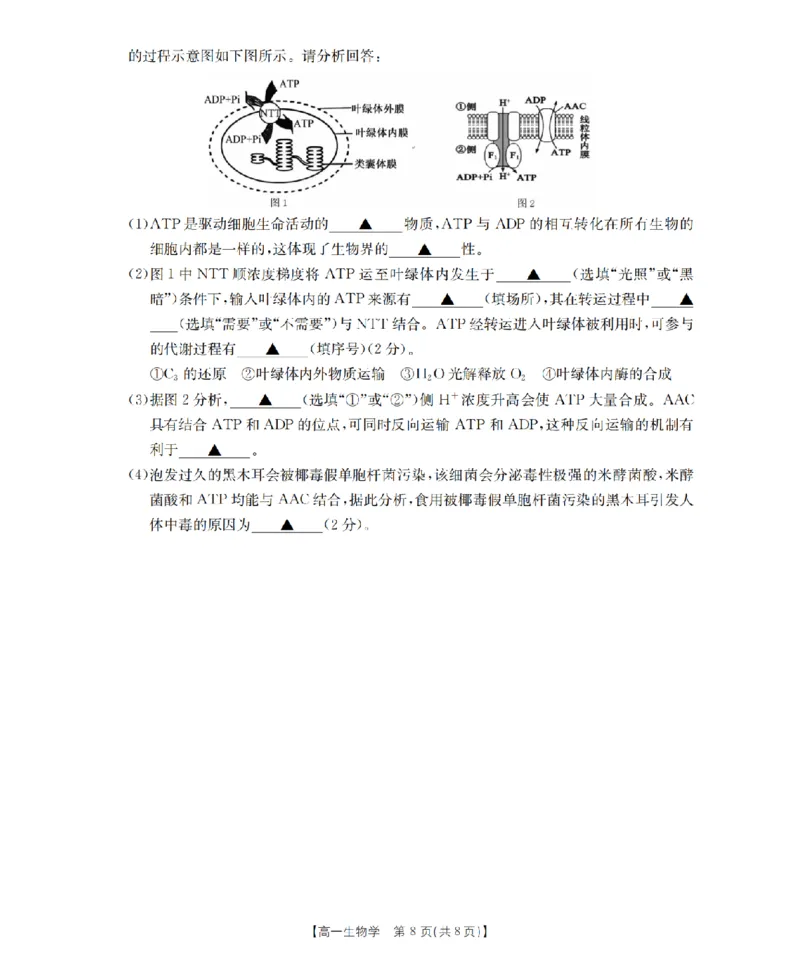 生物学_扫描版_2024-2025高一（7-7月题库）_2026年1月高一_260127金太阳&middot;江苏省2025-2026学年高一上学期12月联考（26-197A）（全）