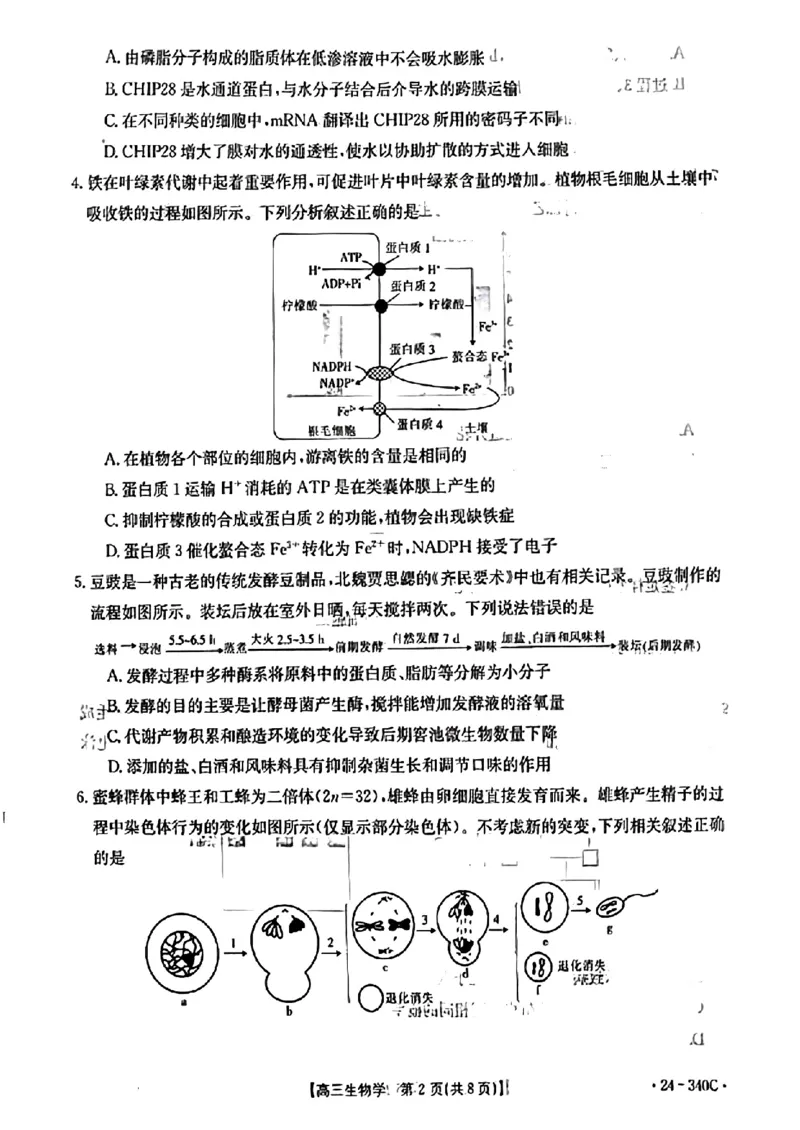 扫描件_重庆市高三生物学考试_2024年3月_013月合集_2024届重庆好教育联盟金太阳联考高三3月联考（24-340C）_重庆好教育联盟金太阳联考2024届高三3月联考（24-340C）生物