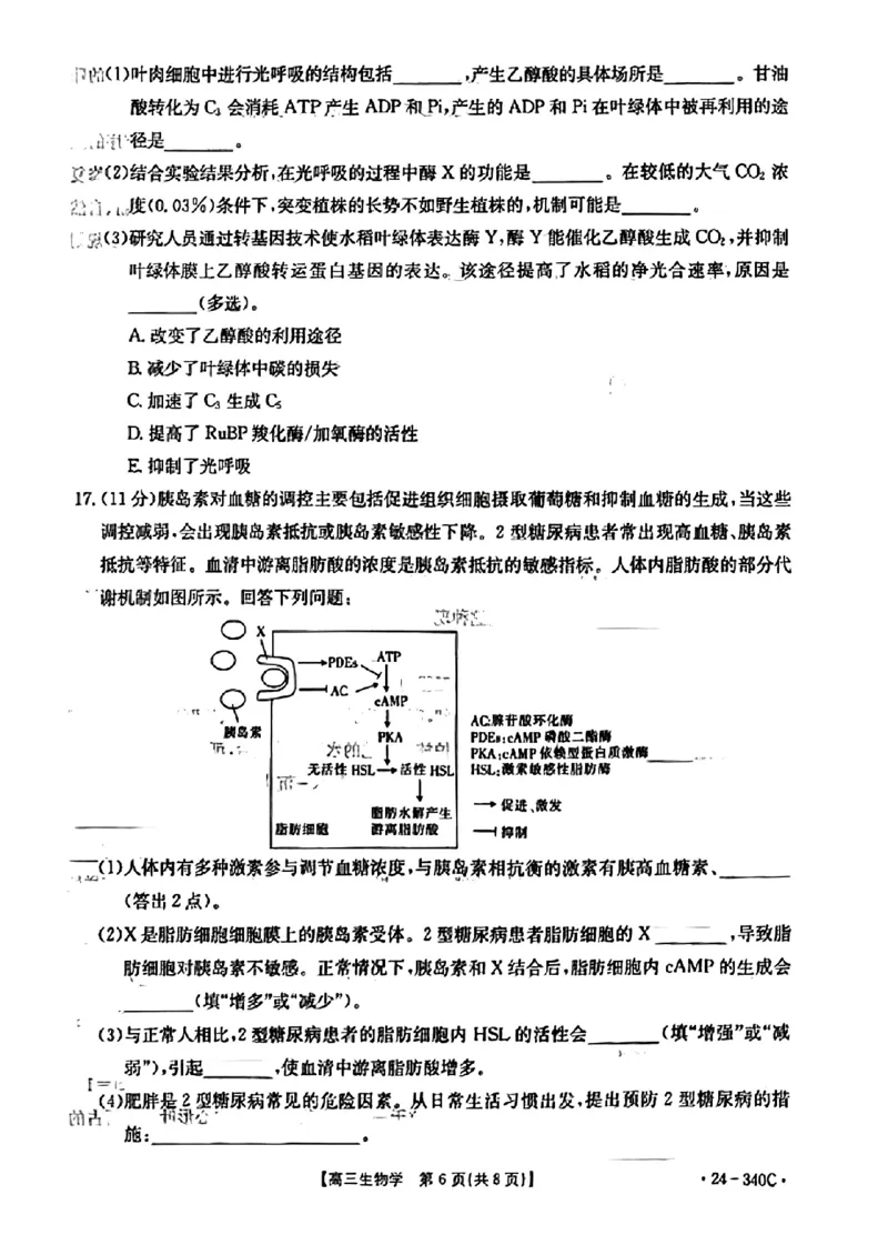扫描件_重庆市高三生物学考试_2024年3月_013月合集_2024届重庆好教育联盟金太阳联考高三3月联考（24-340C）_重庆好教育联盟金太阳联考2024届高三3月联考（24-340C）生物