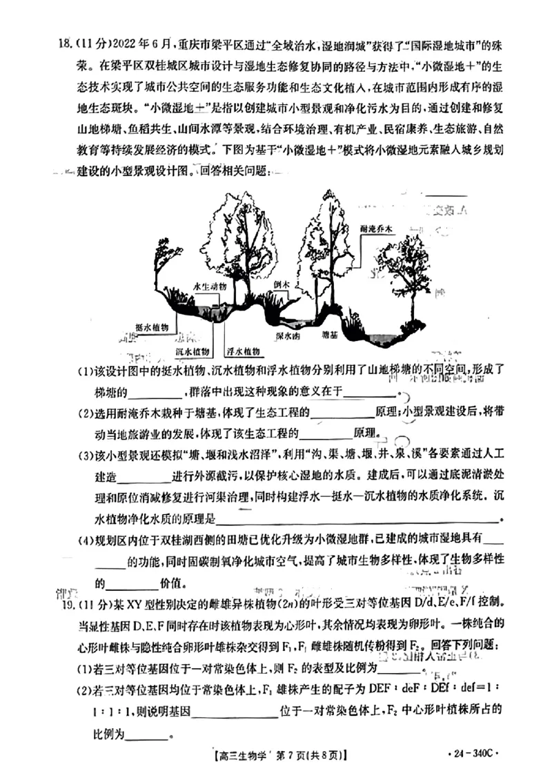 扫描件_重庆市高三生物学考试_2024年3月_013月合集_2024届重庆好教育联盟金太阳联考高三3月联考（24-340C）_重庆好教育联盟金太阳联考2024届高三3月联考（24-340C）生物