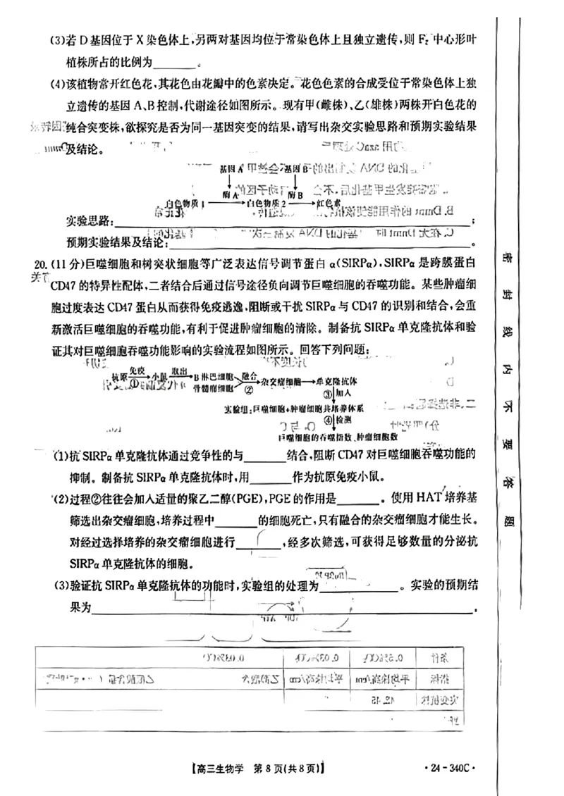 扫描件_重庆市高三生物学考试_2024年3月_013月合集_2024届重庆好教育联盟金太阳联考高三3月联考（24-340C）_重庆好教育联盟金太阳联考2024届高三3月联考（24-340C）生物