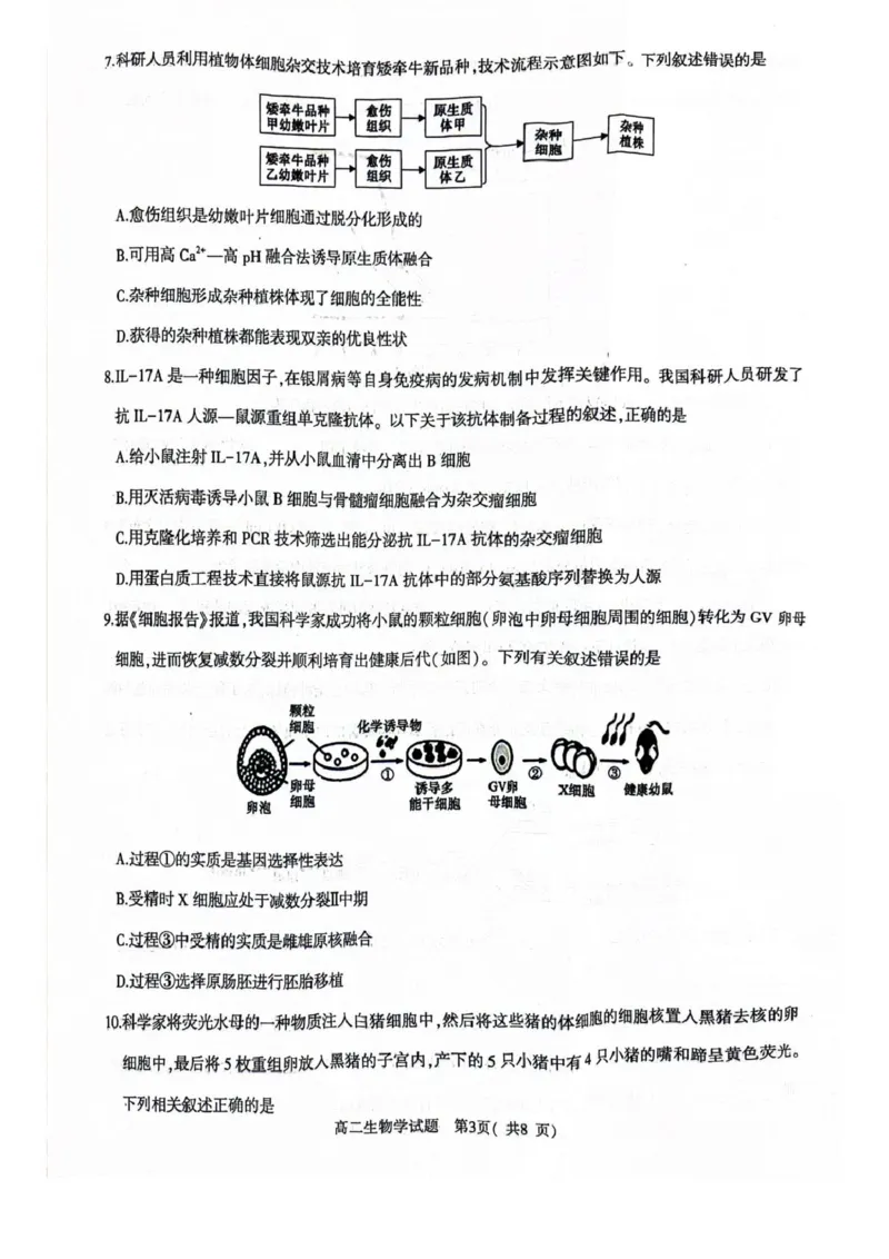 河南省信阳市2024-2025学年高一下学期4月期中考试生物PDF版含解析_2024-2025高一（7-7月题库）_2025年05月试卷_0514河南省信阳市2024-2025学年高一下学期4月期中考试