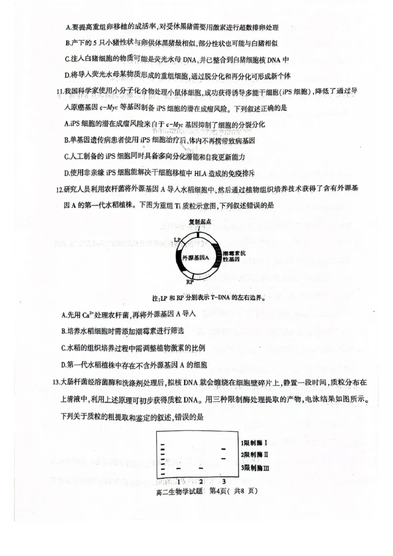 河南省信阳市2024-2025学年高一下学期4月期中考试生物PDF版含解析_2024-2025高一（7-7月题库）_2025年05月试卷_0514河南省信阳市2024-2025学年高一下学期4月期中考试