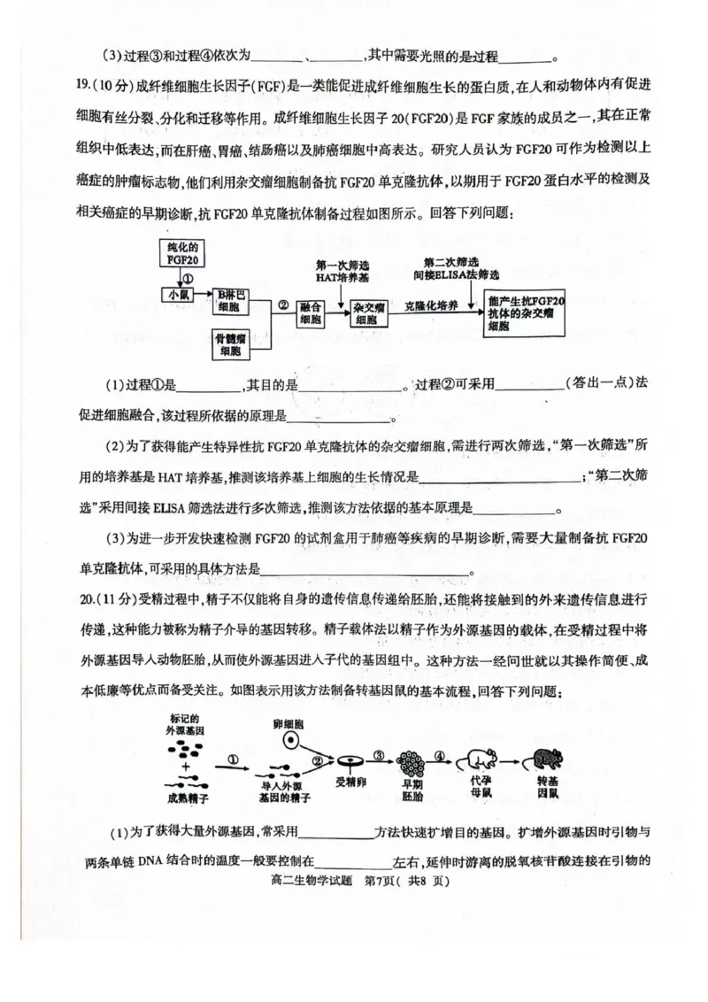 河南省信阳市2024-2025学年高一下学期4月期中考试生物PDF版含解析_2024-2025高一（7-7月题库）_2025年05月试卷_0514河南省信阳市2024-2025学年高一下学期4月期中考试