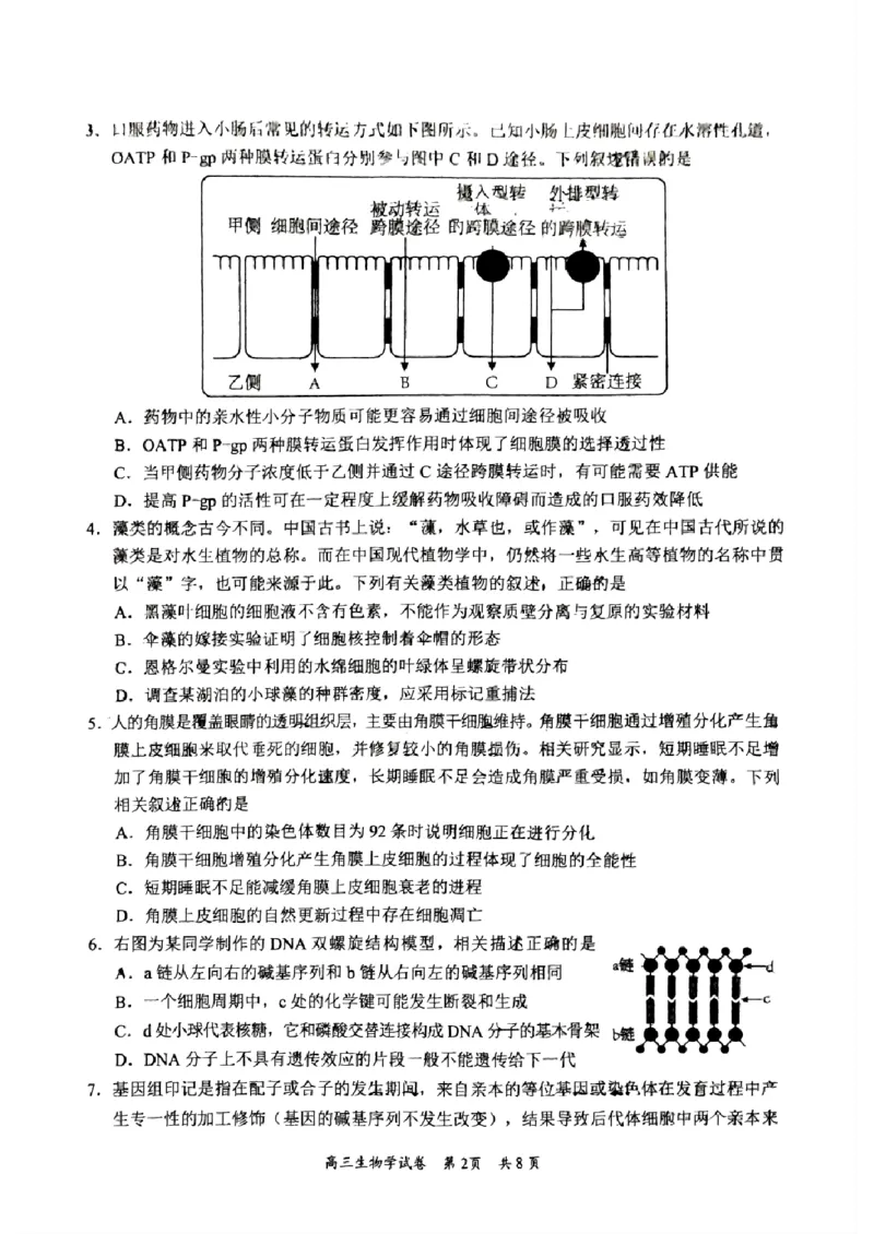 广东省梅州市2023-2024学年高三下学期总复习质检试题（一模）生物(1)_2024年2月_022月合集_2024届广东省梅州市高三下学期总复习质检试题（一模）